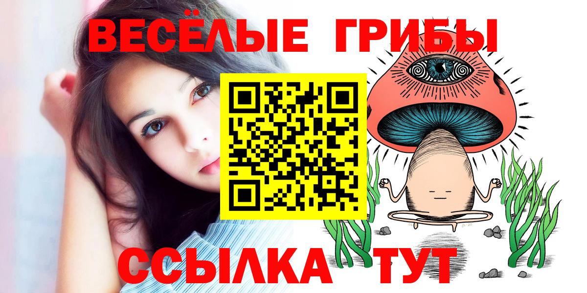 магазин    Псилоцибиновые грибы Psilocybine cubensis  Вход с VPN  Канск 